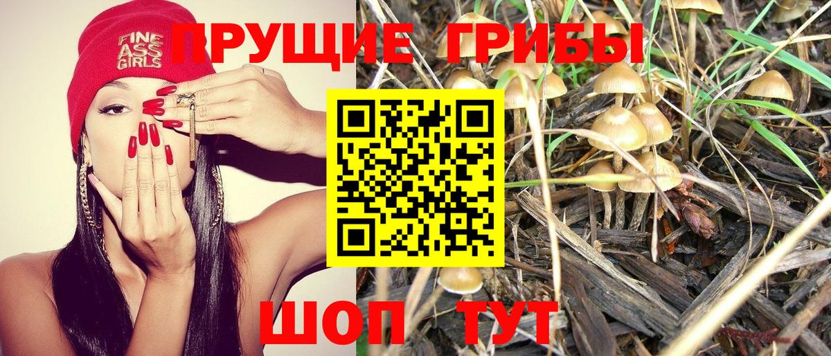Галлюциногенные грибы GOLDEN TEACHER  где можно купить наркотик  Конаково  Вход с VPN 